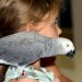 l'oiseau le plus facile à apprivoiser
