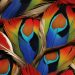 Plumes magnifiques