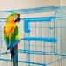 cages pour perroquets