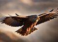 oiseau symbolise la force