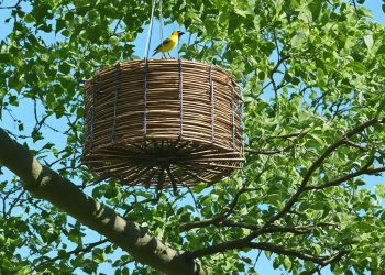 perchoir pour oiseaux