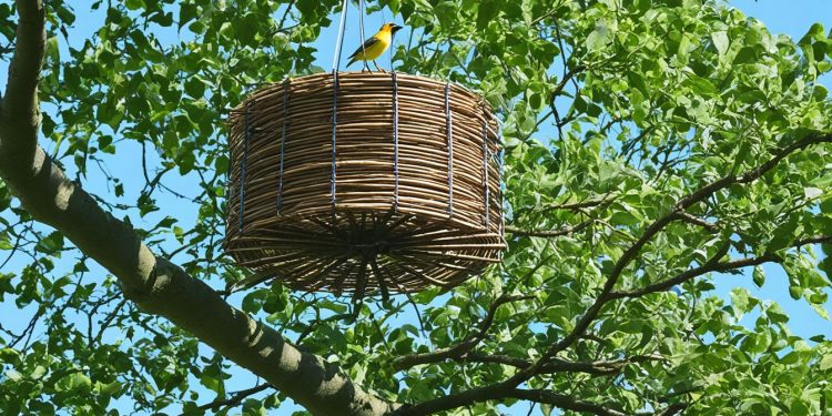 perchoir pour oiseaux