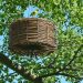 perchoir pour oiseaux