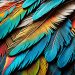 plumage magnifique
