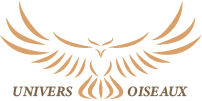Universoiseaux