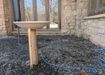 Abreuvoir chauffant pour oiseaux en hiver avec eau hors gel