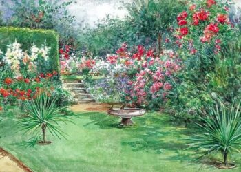 Bain d’oiseaux propre avec eau renouvelée au jardin