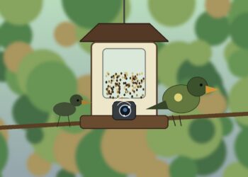Caméra mangeoire connectée avec objectif intégré et oiseaux au jardin