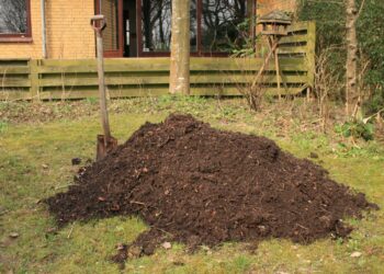 Tas de compost végétal dans un coin de jardin.