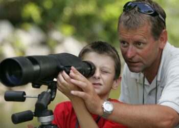 Longue-vue ornithologique utilisée pour observer les oiseaux en paysage
