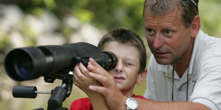 Longue-vue ornithologique utilisée pour observer les oiseaux en paysage