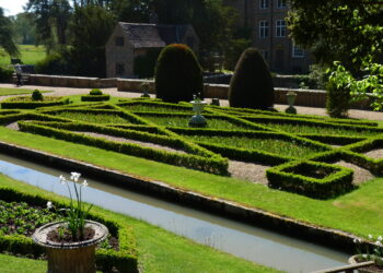 Mur couvert de lierre vert dans un jardin.