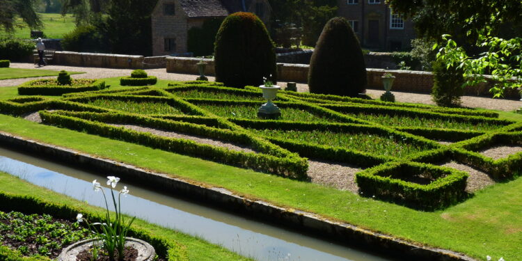 Mur couvert de lierre vert dans un jardin.
