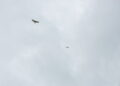 Deux rapaces sombres planent haut dans le ciel en décrivant de larges cercles.
