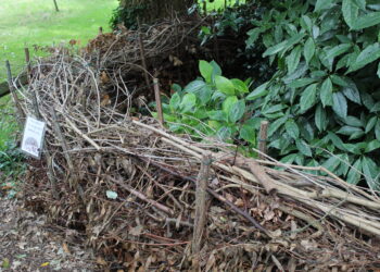 Haie sèche composée de branches empilées entre des piquets dans un jardin.