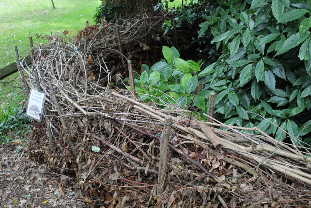 Haie sèche composée de branches empilées entre des piquets dans un jardin.
